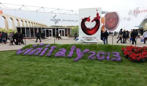 Vinitaly1