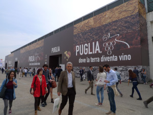 Vinitaly-14