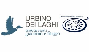 urbino-dei-laghi