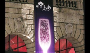 vinitaly6