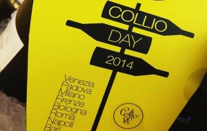 Collio-Day